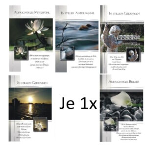 10037121Variante1(1x)