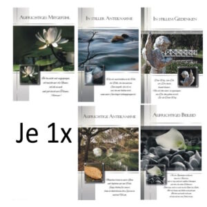 10037121Variante1(1x)