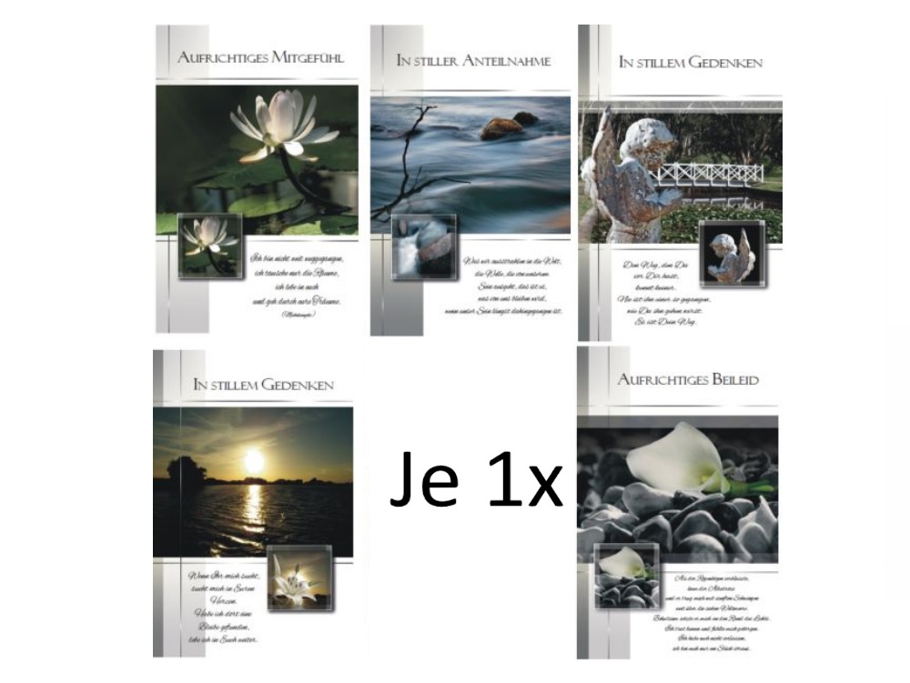 10037121Variante1(1x)