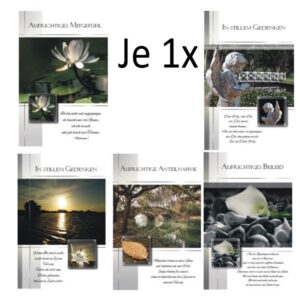 10037121Variante1(1x)