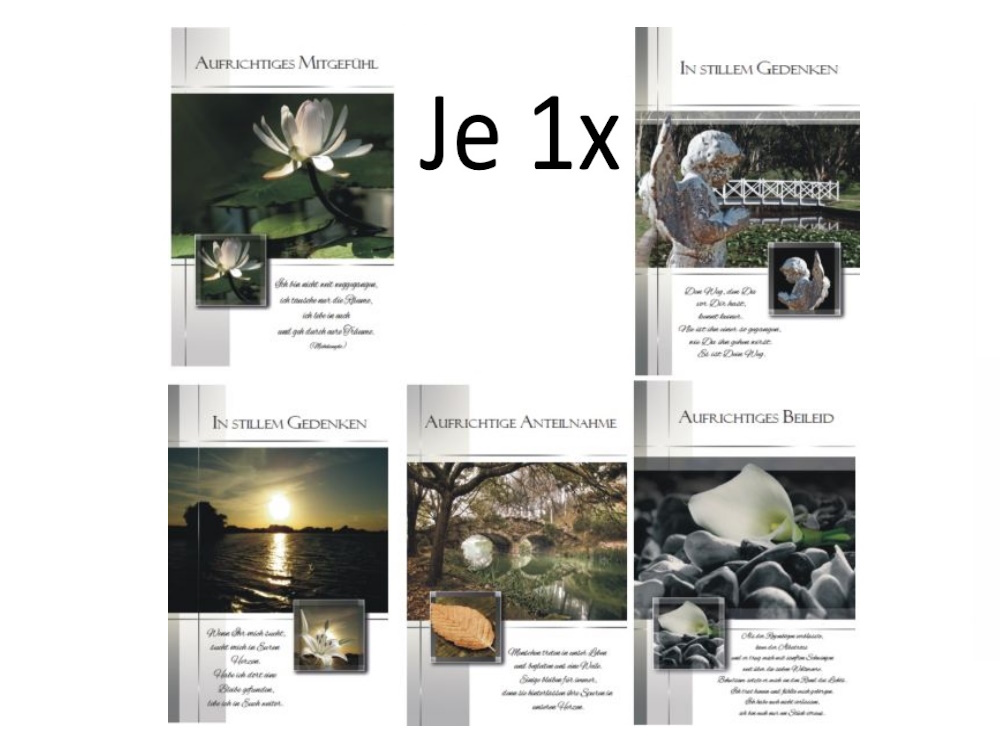 10037121Variante1(1x)